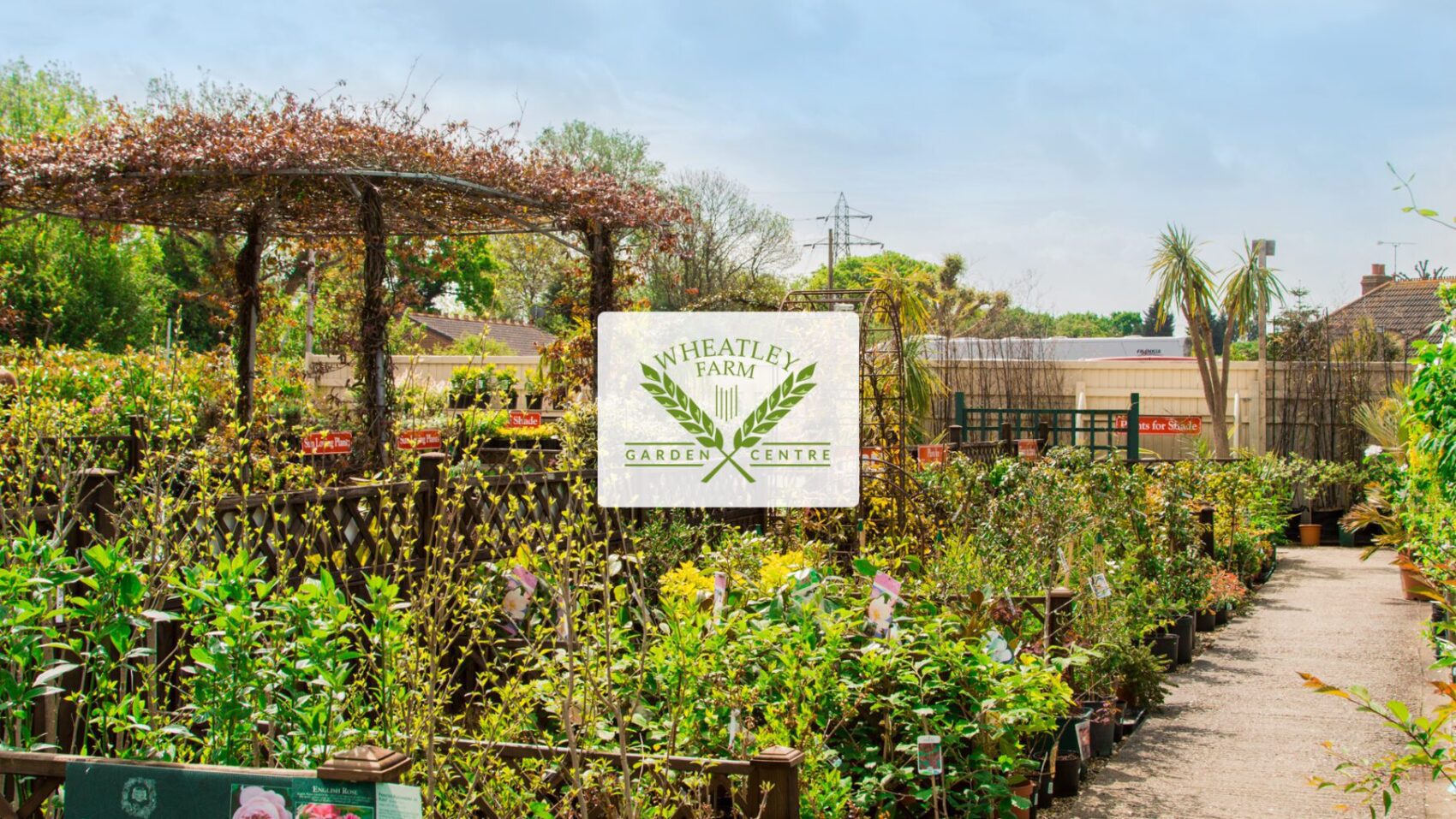 Wheatley Farm Garden Centre in Essex