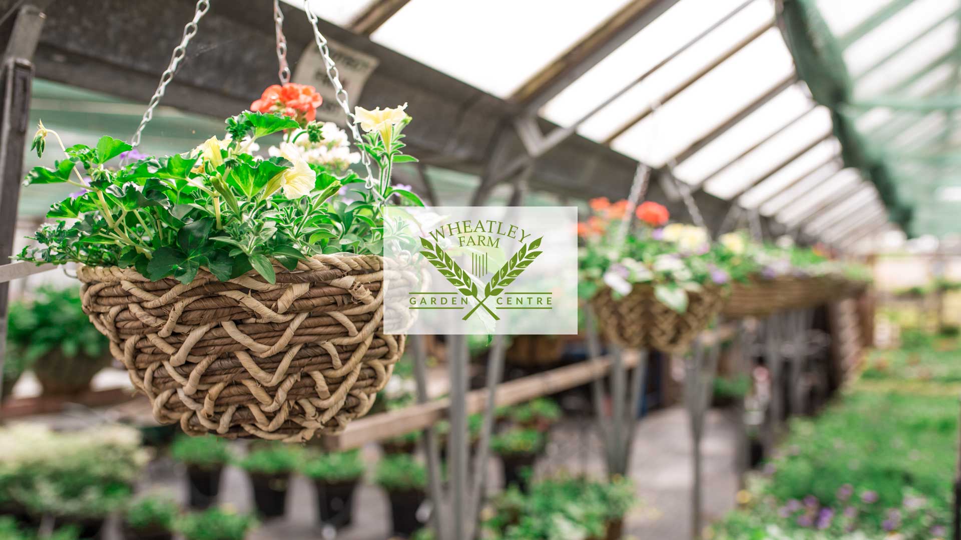 Garden Centre in Essex