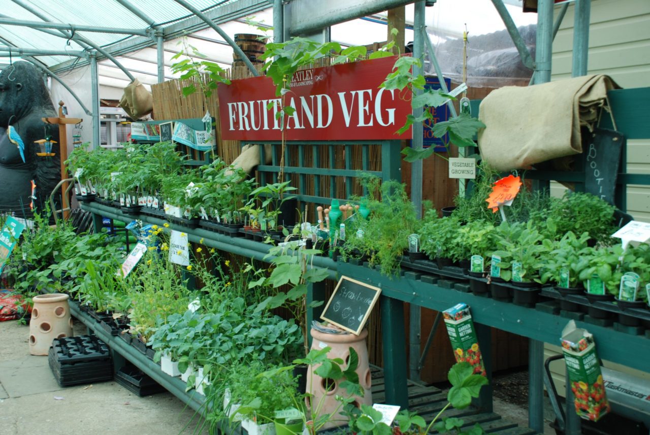 Garden Centre in Essex