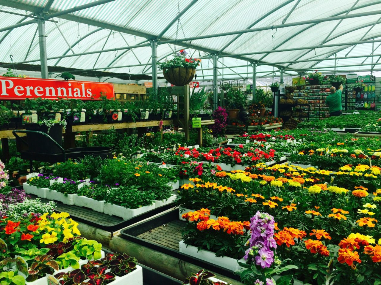 Garden Centre in Essex