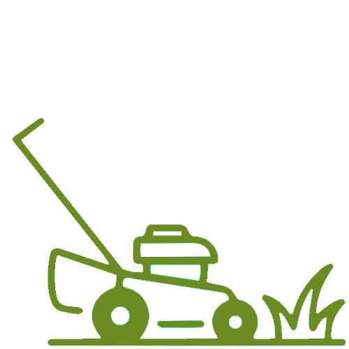 Lawn Mowing service